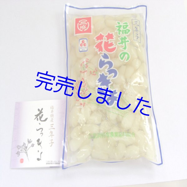 画像1: [ 訳あり値引き ] 三年子花らっきょう-徳用300g袋入 [ 賞味期限2023年8月27日 ] (1)