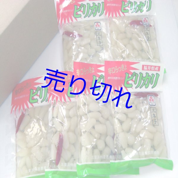 画像1: 三年子花らっきょう-ピリカリ100g10袋まとめ買い-越前の味と心うまいもの大好き (1)