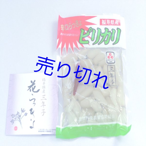 画像1: 三年子花らっきょうピリカリ100g-福井県特産品--越前の味と心うまいもの大好き (1)