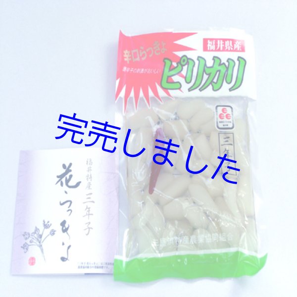 画像1: [ 訳あり値引き ] 三年子花らっきょうピリカリ100g-福井県特産品- [ 賞味期限2023年8月30日 ] (1)