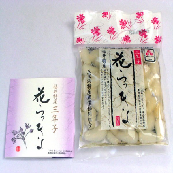三年子花らっきょう80g1袋-福井県名産品-越前の味と心うまいもの大好き - 越前の味と心 - うまいもの大好き！