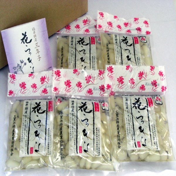 画像1: 三年子花らっきょう-福井県産80g20袋２箱-送料無料-越前の味と心うまいもの大好き (1)