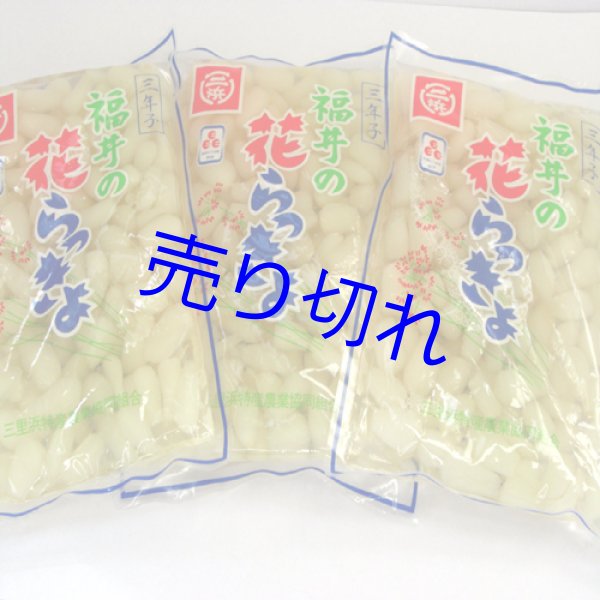 画像2: 三年子花らっきょう-まとめ買い300g10袋送料無料 [在庫が無くなり次第販売休止]-越前の味と心うまいもの大好き (2)