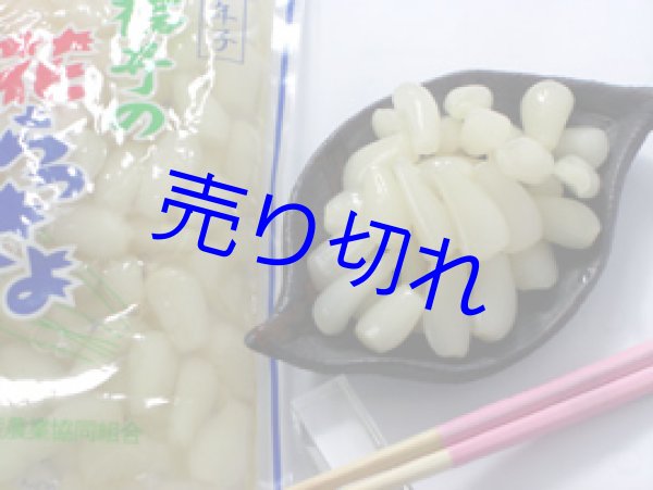 画像2: 三年子花らっきょう-まとめ買い300g6袋 [在庫が無くなり次第販売休止]-送料無料-越前の味と心うまいもの大好き (2)